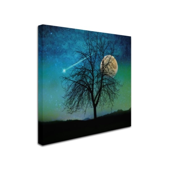 Tina Lavoie 'Opalescent Sky' Canvas Art,14x14